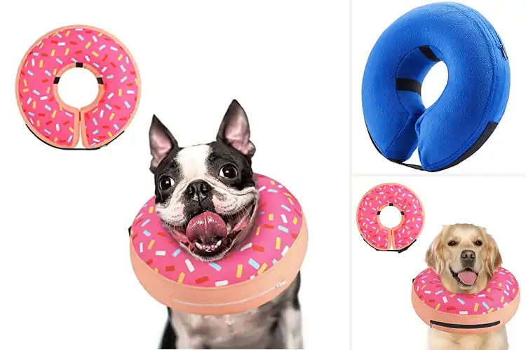 Detailed view of Best Dog Post-Surgery Collars