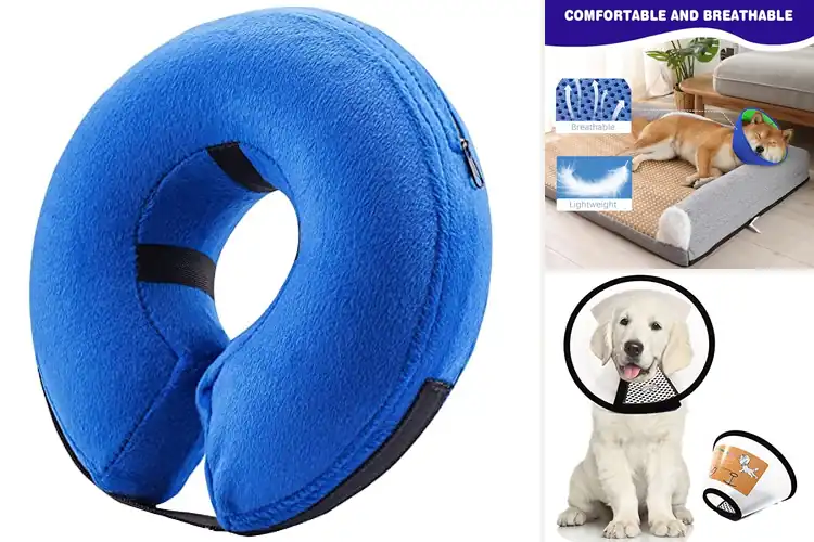 Detailed view of Best Dog Protection Collars