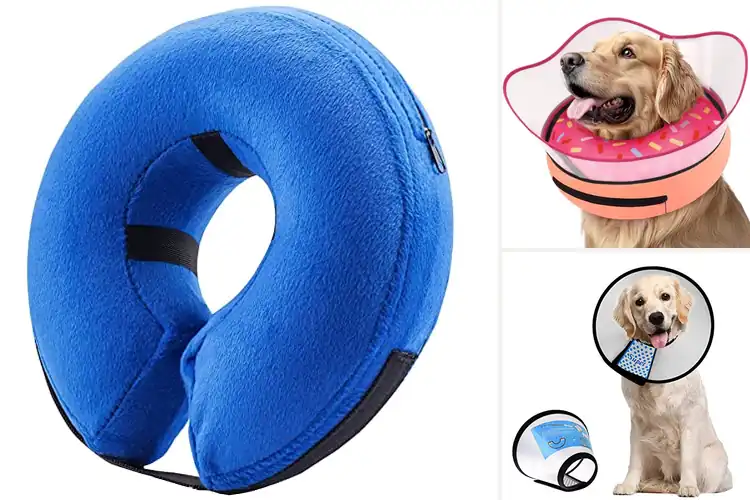 Detailed view of Best Dog Protective Collars: Top 10 Picks for Faster Healing