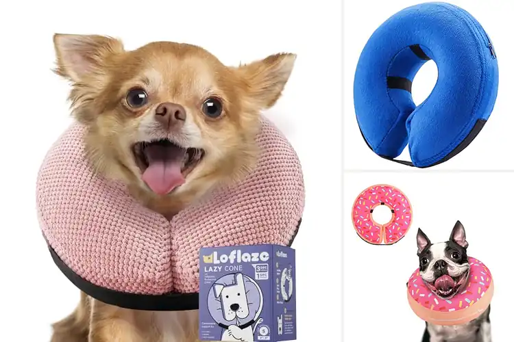 Detailed view of Best Dog Recovery Collars For Small Dogs