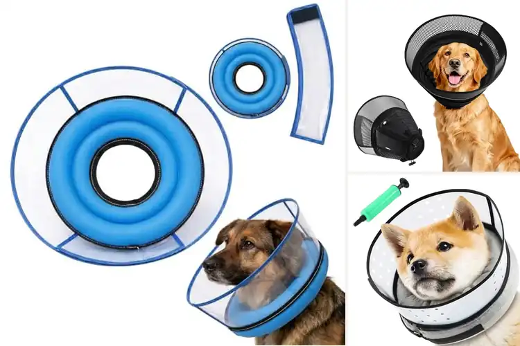 Detailed view of Best Dog Shields: Top 10 Picks for Safety & Comfort