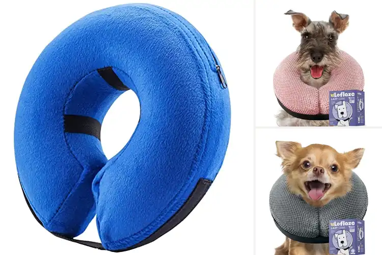 Detailed view of Best Dog Soft Collars for Comfort & Calm