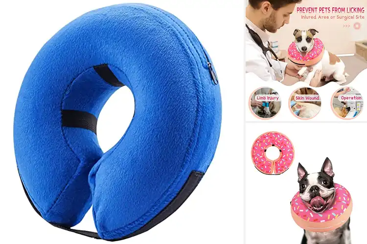 Detailed view of Best Donut Shape Dog Collars for Stress-Free Recovery