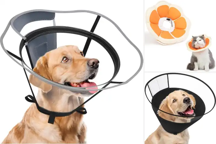 Detailed view of Best Dual Usage Recovery Collar