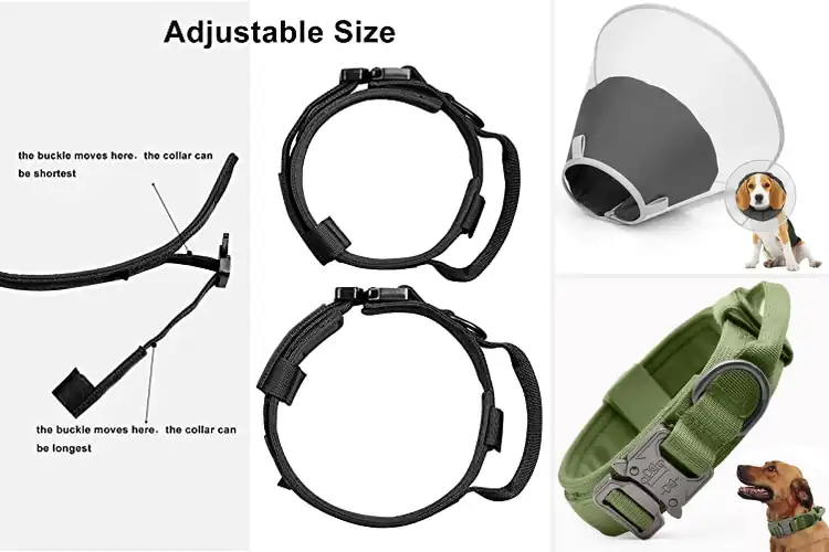 Detailed view of Best Dual Velcro Adjustable Collar