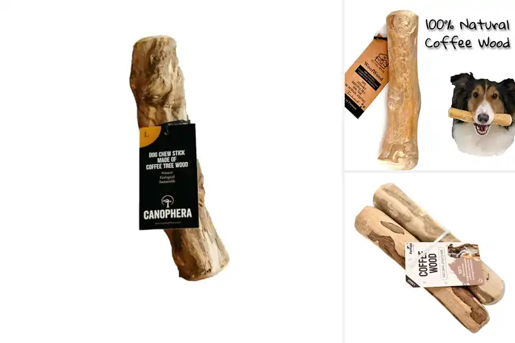 Detailed view of Best Durable Wood Chew Sticks: Top 4 Safe Picks for All Dogs