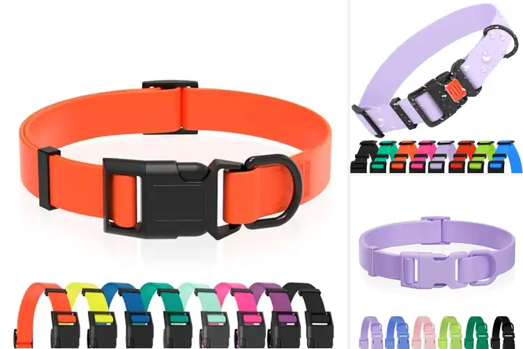 Detailed view of Best Easy Clean Dog Collars