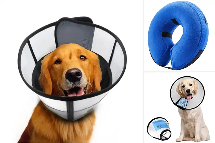 Detailed view of Best Easy Clean Dog Cone: Stress-Free Recovery for Your Pet