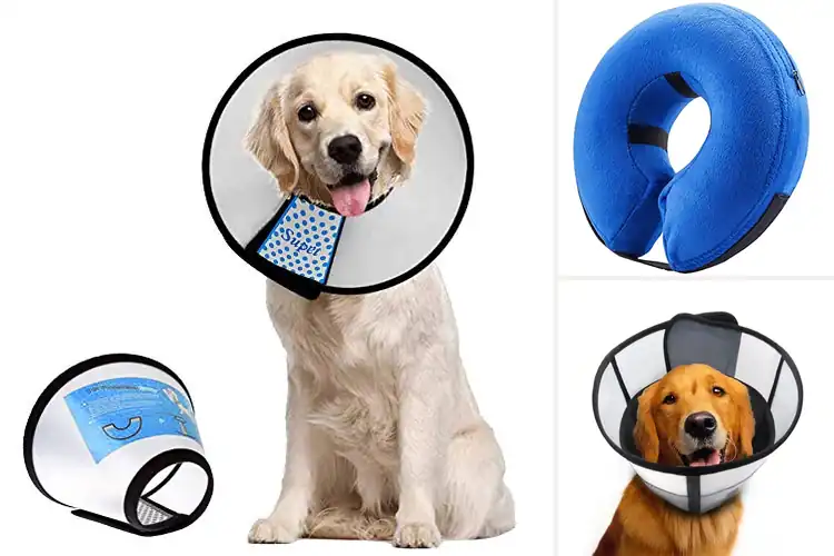 Detailed view of Best Easy Clean Dog Recovery Collar