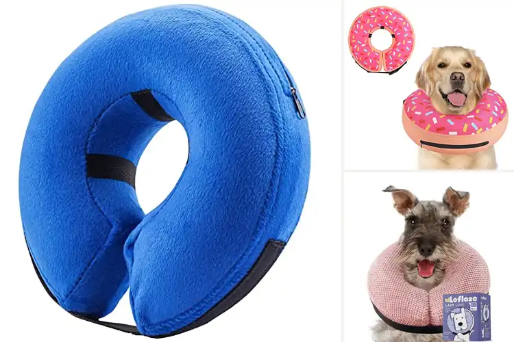 Detailed view of Best Easy Clean Donut Collar