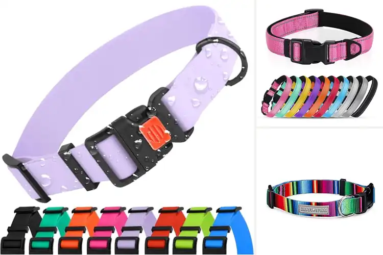 Detailed view of Best Easy Clean Machine Washable Dog Collar