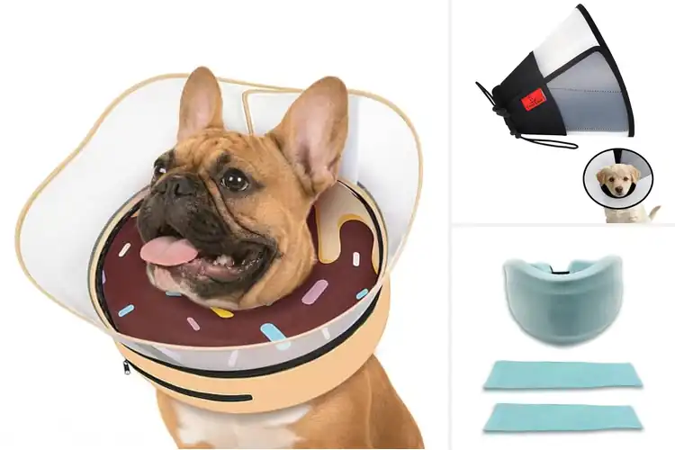 Detailed view of Best Easy-Clean Removable Cover Collar