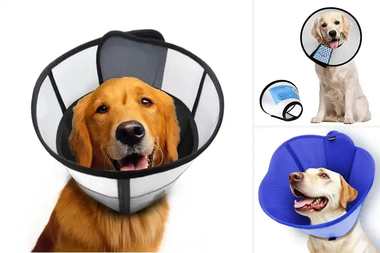 Detailed view of Best Easy On Easy Off Dog Cone