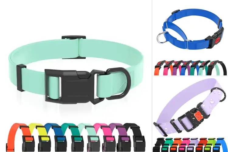 Detailed view of Best Easy-To-Clean Collars