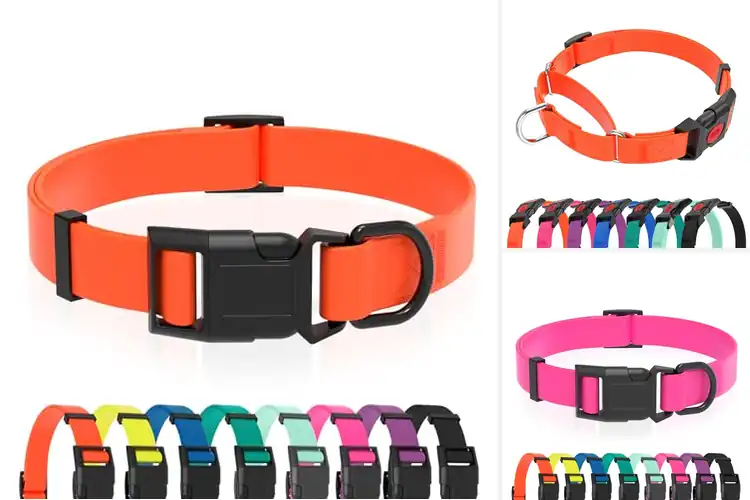 Detailed view of Best Easy To Clean Dog Collars: Stay Fresh