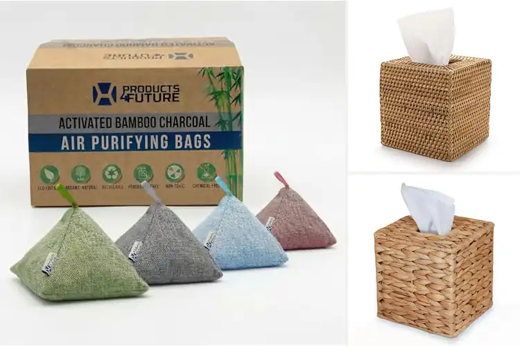 Detailed view of Best Eco Friendly Home Decor: 10 Stylish Sustainable Picks