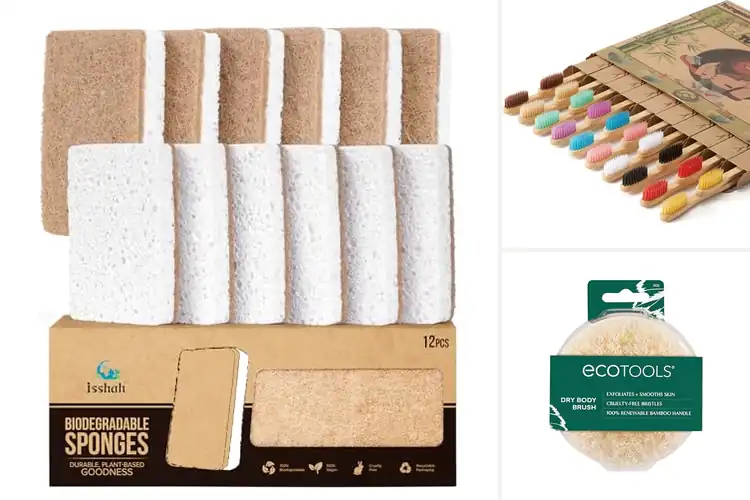 Detailed view of Best Eco-Friendly Products: 10 Easy Swaps for a Greener Life