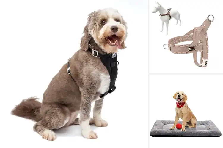 Detailed view of Best Fit For Large Medium Small Dogs