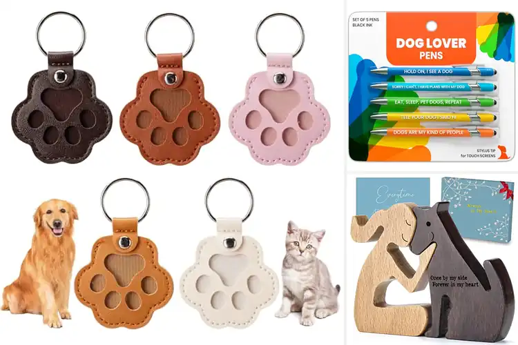 Detailed view of Best Gift For Small Pet Enthusiasts