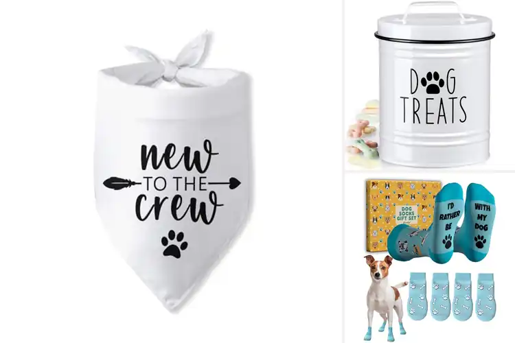 Detailed view of Best Gift For Small Pets And Their Owners