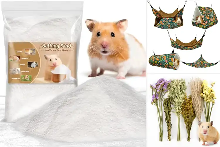 Detailed view of Best Hamster Cage Accessories