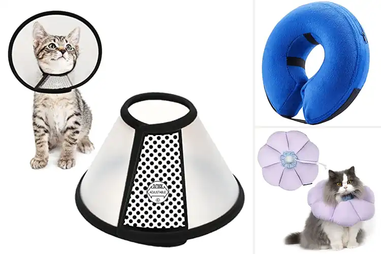 Detailed view of Best Healing Collars: Top 10 Picks for Faster Pet Recovery