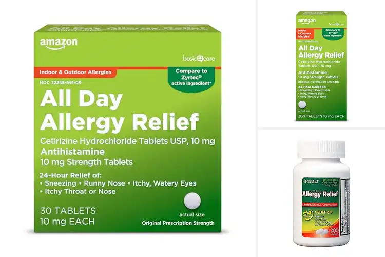 Detailed view of Best Indoor Allergy Relief Products