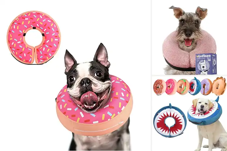 Detailed view of Best Inflatable-Free Dog Collars