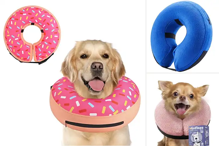 Detailed view of Best Large Medium Small Dog Donut Collar