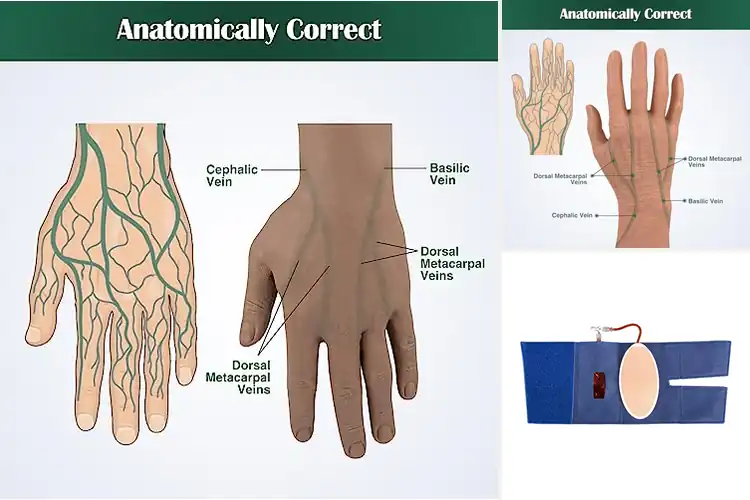 Detailed view of Best Latex Free IV Practice Kits