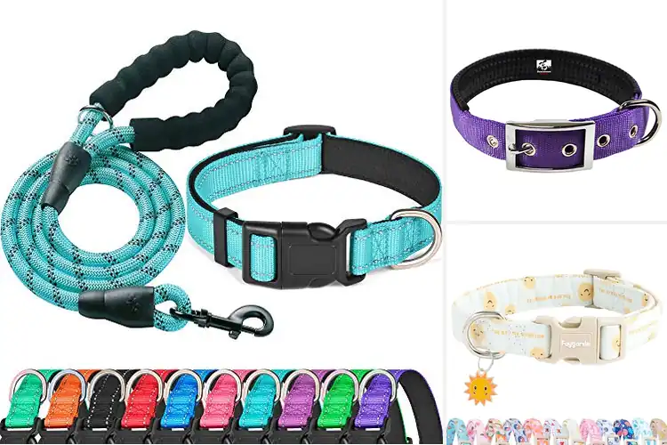 Detailed view of Best Machine Washable Dog Collar
