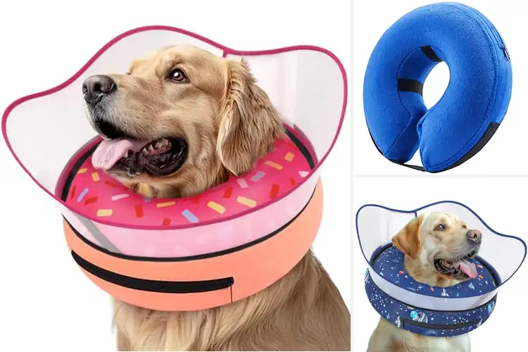 Detailed view of Best Machine Washable Dog Recovery Collar