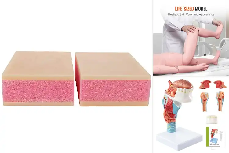 Detailed view of Best Medical Training Models