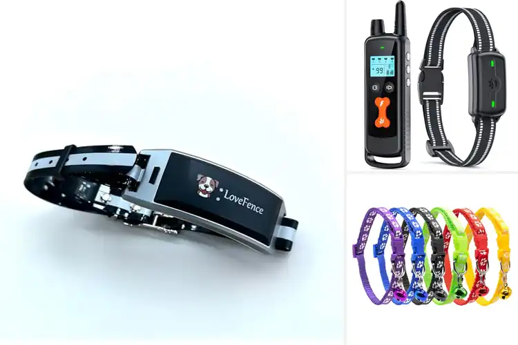 Detailed view of Best Multi-Function Dog Collars