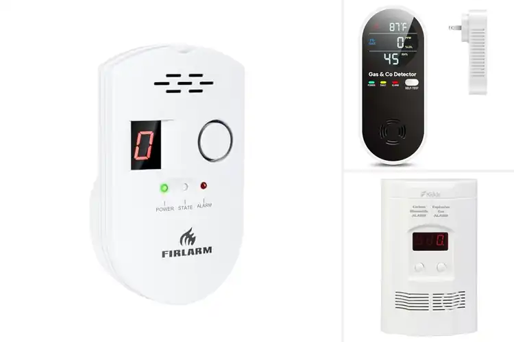 Detailed view of Best Natural Gas Alarms