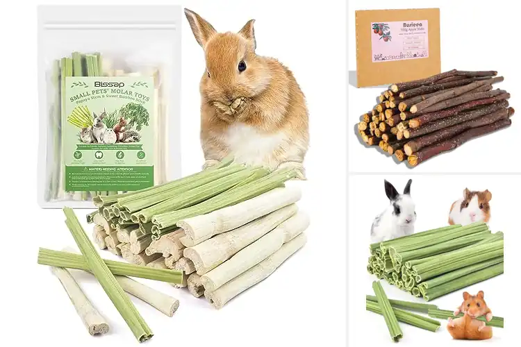Detailed view of Best Natural Molar Sticks for Healthy, Happy Small Pets