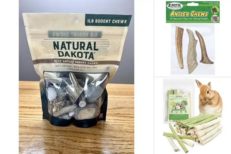 Detailed view of Best Natural Rodent Chew Materials