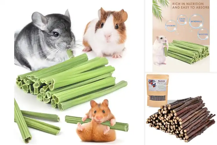 Detailed view of Best Natural Rodent Chew Sticks: Healthy Teeth, Happy Pets