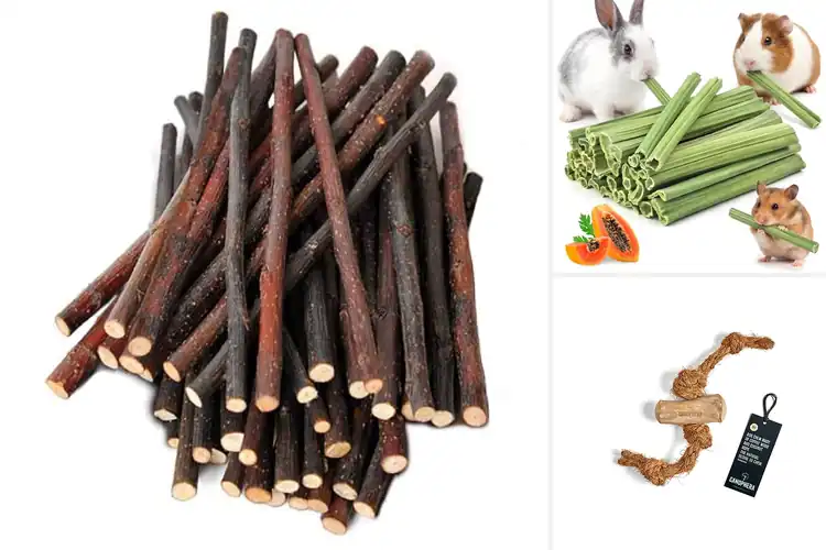 Detailed view of Best Natural Wood Chews For Teeth