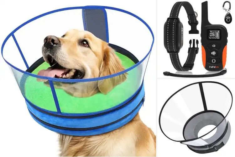 Detailed view of Best No Inflation Dog Collar