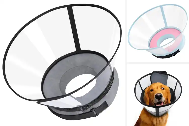 Detailed view of Best No Inflation Dog Collars