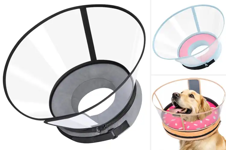 Detailed view of Best No Inflation Needed Donut Collar