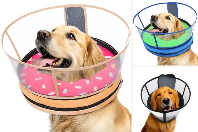 Detailed view of Best No Inflation Recovery Collar