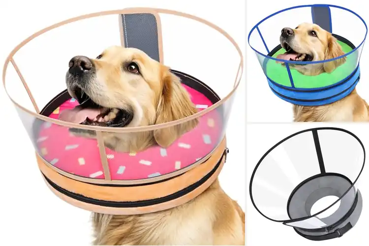 Detailed view of Best No Inflation Required Cone Alternative