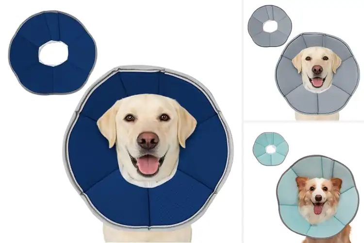 Detailed view of Best Non-Inflatable Dog Collars