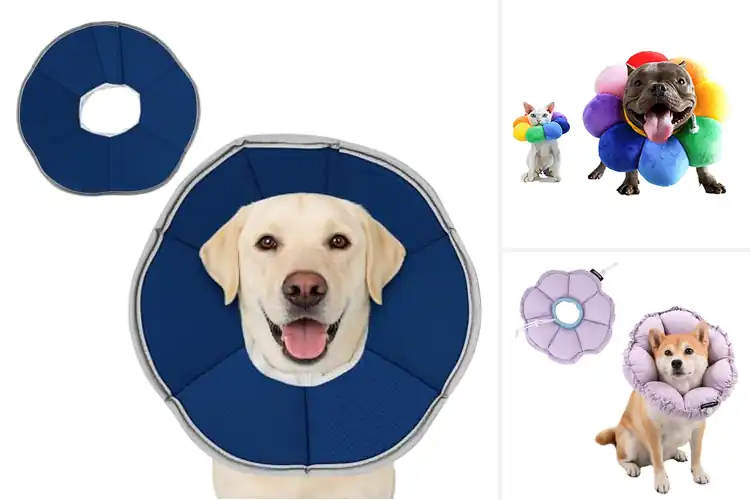 Detailed view of Best Non Inflatable Dog Cone