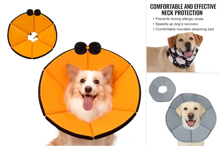 Detailed view of Best Non Inflatable Recovery Collar