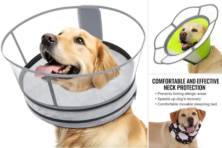 Detailed view of Best Non Inflatable Recovery Collar With Shield