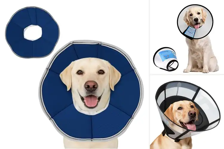 Detailed view of Best Non Inflate Dog Cone