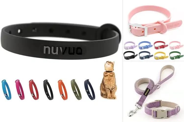 Detailed view of Best Non Irritating Pet Collar